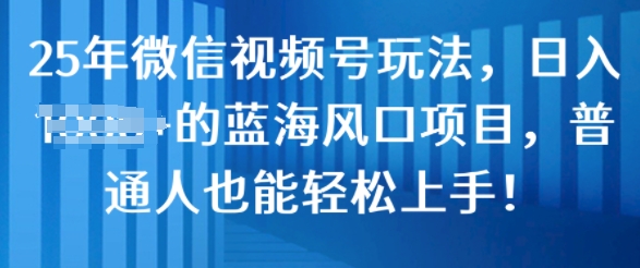 25年微信视频号玩法，日入几张的蓝海风口项目，普通人也能轻松上手!-多米联创