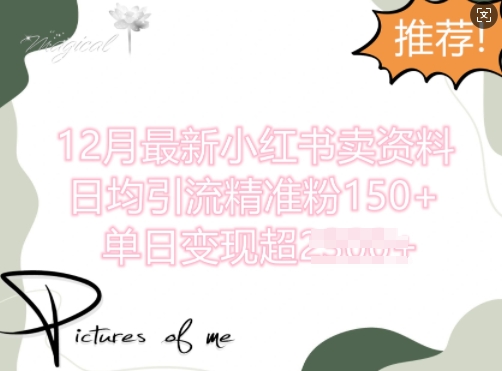 12月最新小红书日均引流精准粉100+，单日变现多张-多米联创