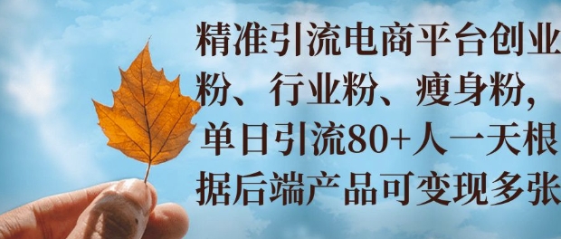 小投入撬动大收益，精准引流创业粉、行业粉，单日引流80+，一天可变现多张-多米联创