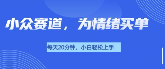 小众赛道，我的治愈系电子抱枕，让用户为情绪买单-多米联创