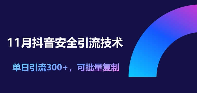 11月抖音安全引流技术，单日引流300+，可批量复制-多米联创