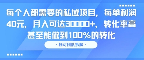 每个人都需要的私域项目，每单利润40米，月入可达3W+，转化率高 甚至能做到100%的转化-多米联创