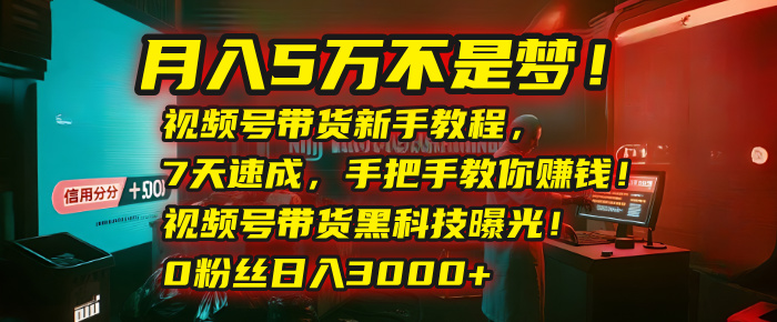 月入5万不是梦！视频号带货新手教程，7天速成，手把手教你赚钱！视频号带货黑科技曝光！0粉丝日入3000+-多米联创