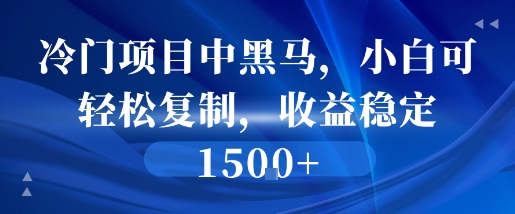 冷门项目中黑马，小白可轻松复制，收益稳定1.5k-多米联创
