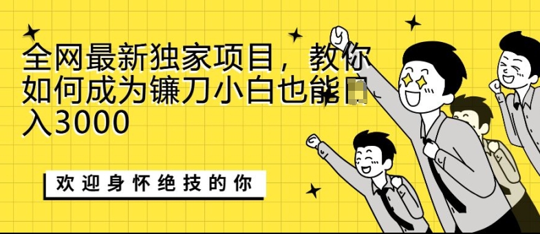 全网最新独家项目，教你如何成为镰刀小白也能日入上K-多米联创