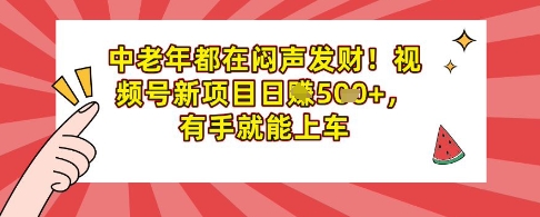 中老年都在闷声发财，视频号新项目日入多张，有手就能上车-多米联创