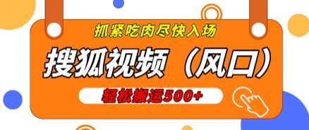 搜狐视频，新风口，1天200-500收益，抓紧吃肉!-多米联创