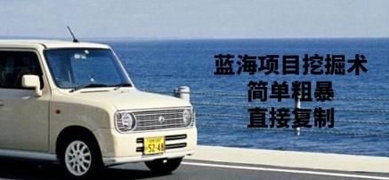 蓝海项目挖掘术，简单粗暴，直接复制-多米联创