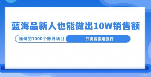 这个蓝海品，新号也能卖出10W的销售额，年底疯狂怼量就能出结果-多米联创