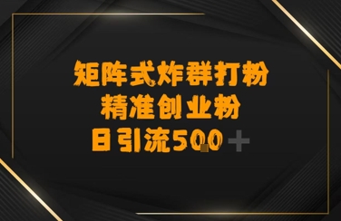 矩阵炸群打粉，日引流500+精准创业粉-多米联创