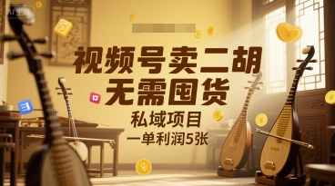 视频号卖二胡，无需囤货，私域项目，一单利润5张-多米联创