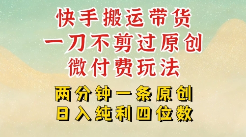 快手黑科技搬运带货，一刀不剪过原创，微付费投流玩法，轻松日入四位数，深层揭秘玩法-多米联创