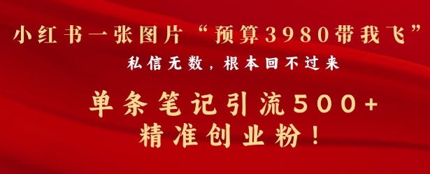 小红书一张图暴力引流500+精准创业粉-多米联创