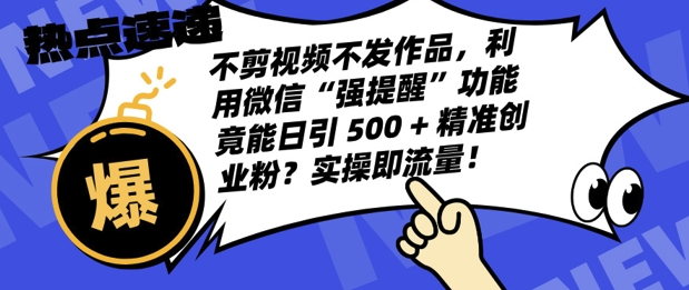 不剪视频不发作品，视频号私信日引 500 + 精准创业粉?实操即流量!-多米联创