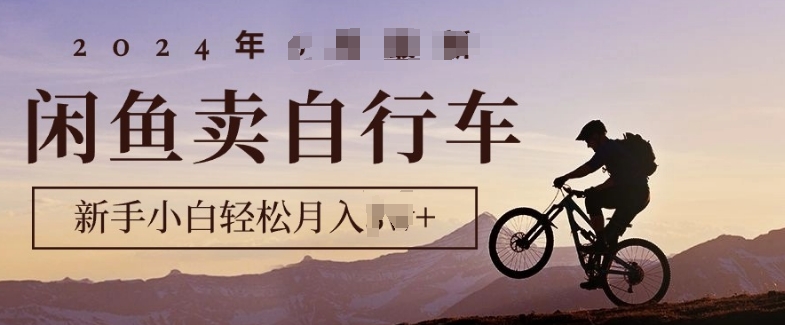 骑行圈的秘密之我在闲鱼卖自行车，项目门槛低，0成本就可以操作-多米联创