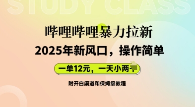 哔哩哔哩暴力拉新：2025年新风口，一单12元，一天数张(附开白渠道和保姆级教程)-多米网络