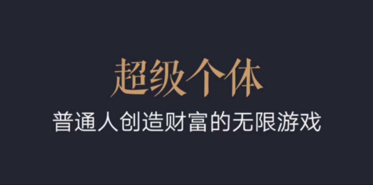 超级个体：2024-2025翻盘指南，普通人创造财富的无限游戏-多米网络