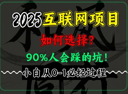 2025年互联网项目搞钱方法论，全是干货，肺腑之言，新手从0-1必经过程，边看边实操-多米网络