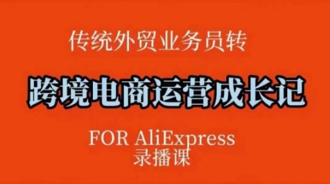 跨境电商速卖通运营课，​运营方法论+后台实操，逻辑清晰-多米网络