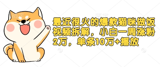 最近很火的爆款猫咪做饭视频拆解，小白一周涨粉2万，单条10万+播放(附保姆级教程)-多米网络