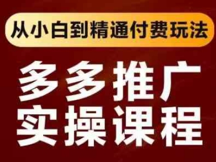 拼多多推广实操课程，从小白到精通付费玩法-多米网络