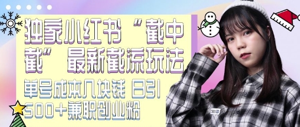 最新小红书截流玩法 独家截中截 单号成本几块钱 日引500+CY粉JZ粉-多米网络