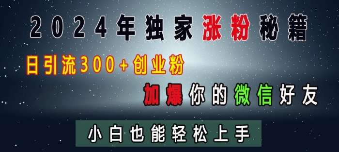 2024年独家涨粉秘籍，日引流300+创业粉，加爆你的微信好友，小白也能轻松上手-多米网络