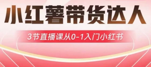 小红薯达人带货启航计划，3节直播课从0-1入门小红书-多米网络