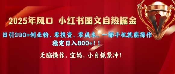 25年风口小红书图文掘金，日引300+创业粉、零投资、零成本、一部手机就能操作-多米网络