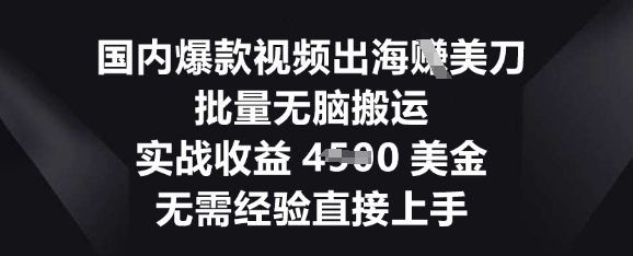 国内爆款视频出海挣美刀，批量无脑搬运，实战收益4.5k，无需经验直接上手-多米网络