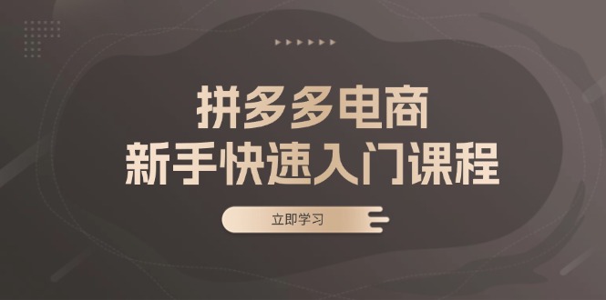 拼多多电商新手快速入门课程：涵盖基础、实战与选款，助力小白轻松上手-多米网络