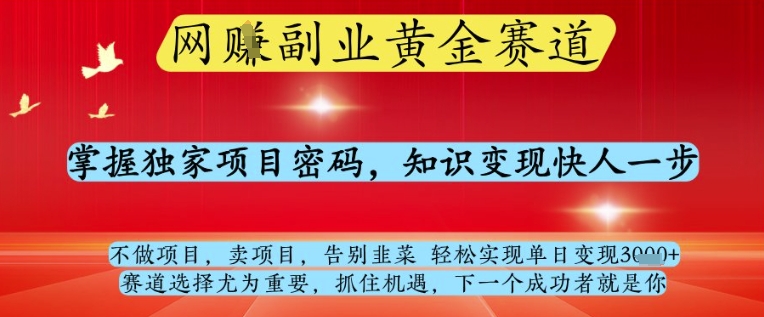 网创副业黄全赛道，掌握独家项目密码，知识变现快人一步，告别韭菜轻松实现单日变现1k+【揭秘】-多米网络