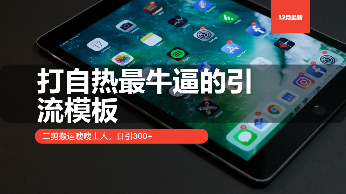 打自热最牛逼的引流模板，二剪搬运嗖嗖上人，日引300+-多米网络