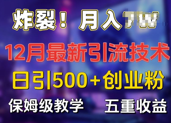 炸裂!揭秘12月最新日引流500+精准创业粉，多重收益保姆级教学-多米网络