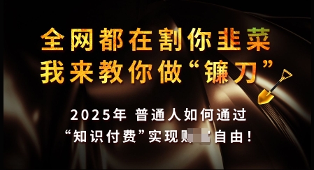 知识付费如何做到月入过W+，2025我来教你做“镰刀”【揭秘】-多米网络