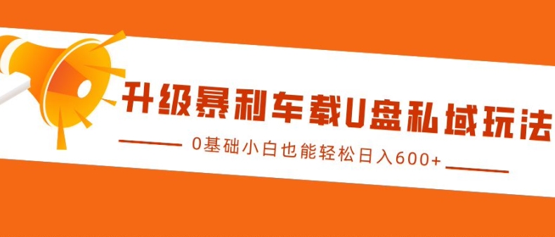 升级暴利车载U盘私域玩法，0基础小白也能轻松日入多张【揭秘】-多米网络