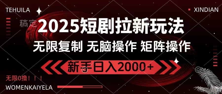 2025短剧拉新玩法，无需注册登录，无限0撸，无脑批量操作日入2000+-多米网络