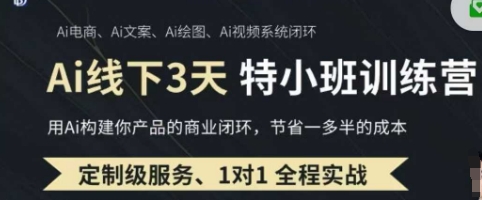 AI实操培训第20-21期线下，0基础保姆级教程，3月最新整理，企业获客、降本增效、打造超级个体-多米网络