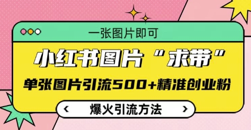 小红书图片‘求带’爆火引流法，单张图片引流500+精准创业粉【揭秘】-多米网络