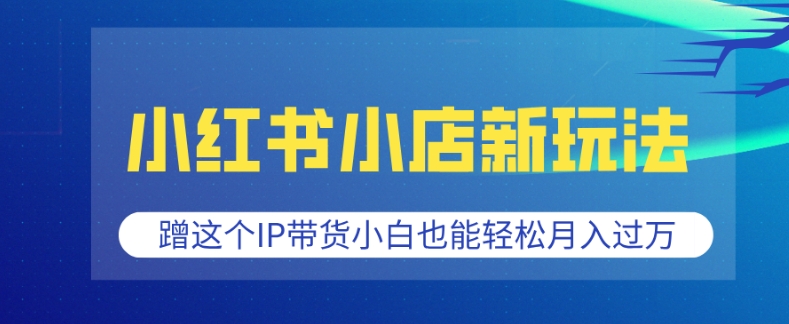 小红书小店新玩法，蹭这个IP带货，小白也能轻松月入过W【揭秘】-多米网络