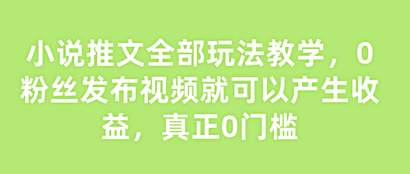 小说推文全部玩法教学，0粉丝发布视频就可以产生收益，真正0门槛-多米网络