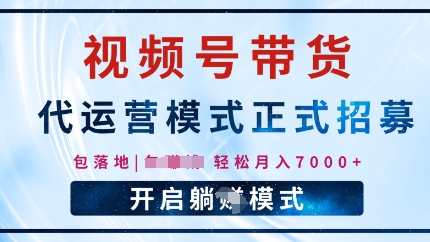 视频号代运营，全程托管计划招募，躺Z模式，单月轻松变现7k-多米网络
