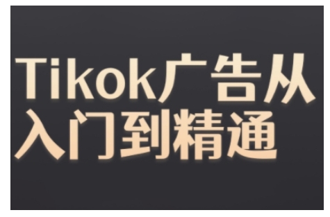 Tiktok Ads实操教程，Tiktok广告从入门到精通-多米网络