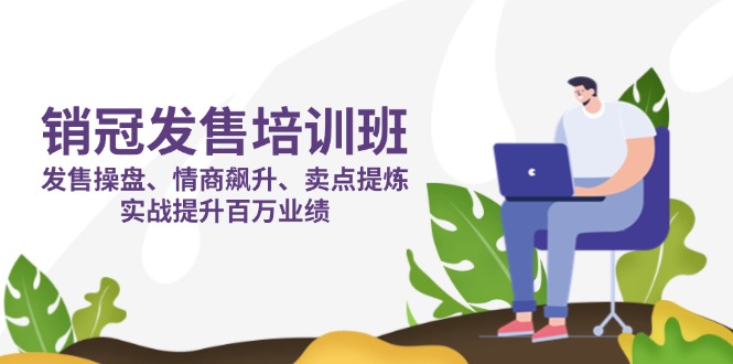 销冠 发售培训班：发售 操盘+情商 飙升+卖点 提炼，实战提升百万业绩-多米网络