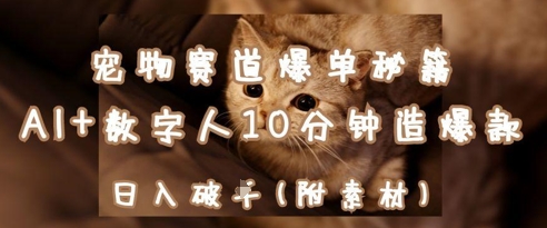 宠物赛道爆单秘籍：AI+数字人10分钟造爆款，日入1k-多米网络