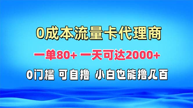 免费流量卡代理一单80+ 一天可达2000+-多米网络