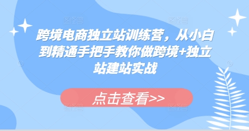 跨境电商独立站训练营，从小白到精通手把手教你做跨境+独立站建站实战-多米网络