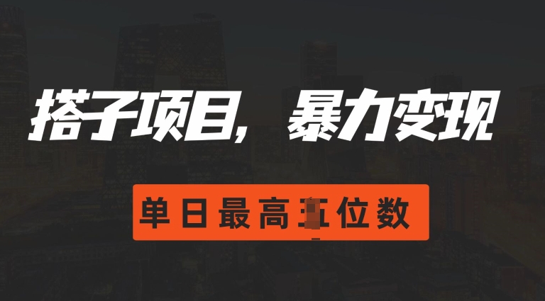 2024搭子玩法，0门槛，暴力变现，单日最高破四位数【揭秘】-多米网络