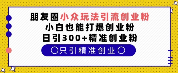 朋友圈小众玩法引流创业粉，小白也能打爆创业粉，日引300+精准创业粉【揭秘】-多米网络