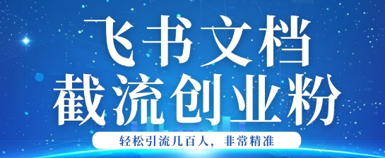 利用飞书文档截流创业粉轻松引流200+-多米网络